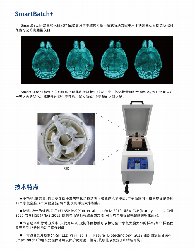组织透明化和3D成像技术服务介绍！(图1)