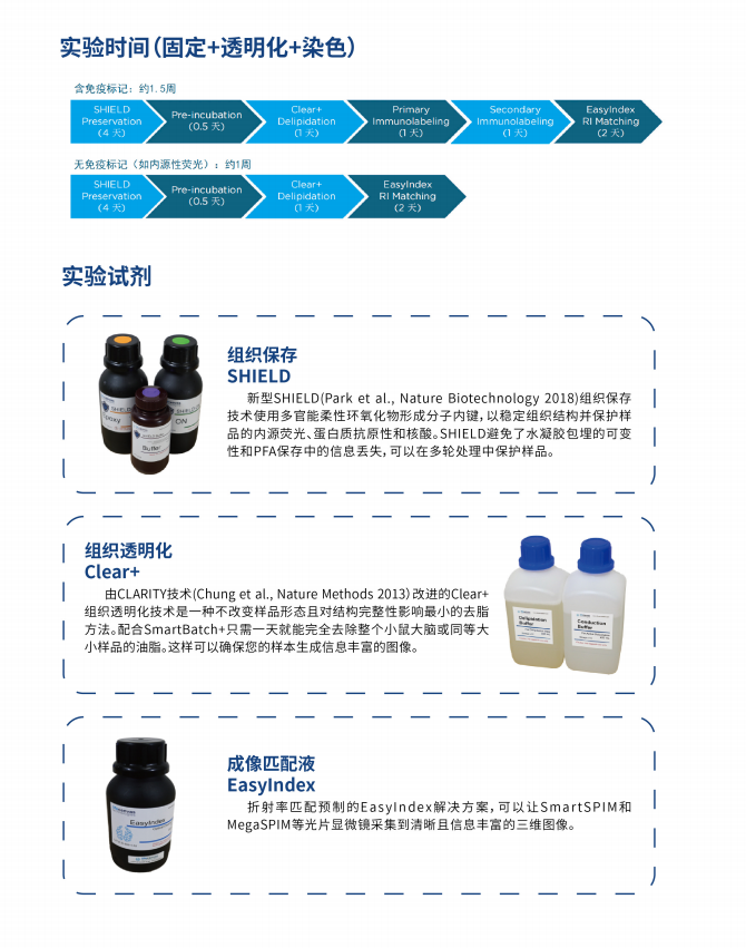 组织透明化和3D成像技术服务介绍！(图2)