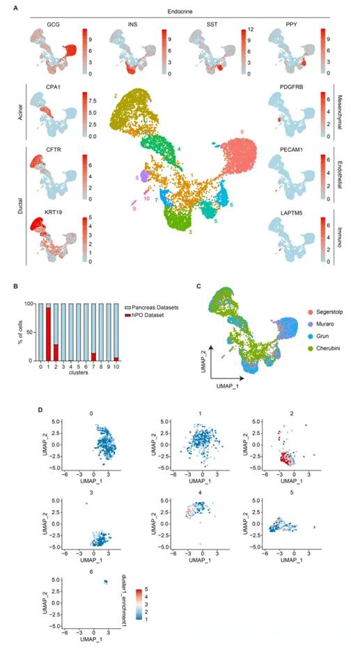 关于文献解读 -单细胞测序解析胰腺类器官模型!(图4) e7c36342062ebbabe70d5015cef21a21.jpeg