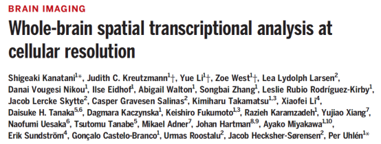 关于组织透明化结合原位杂交实现细胞分辨率全脑空间转录分析(图1) 图片