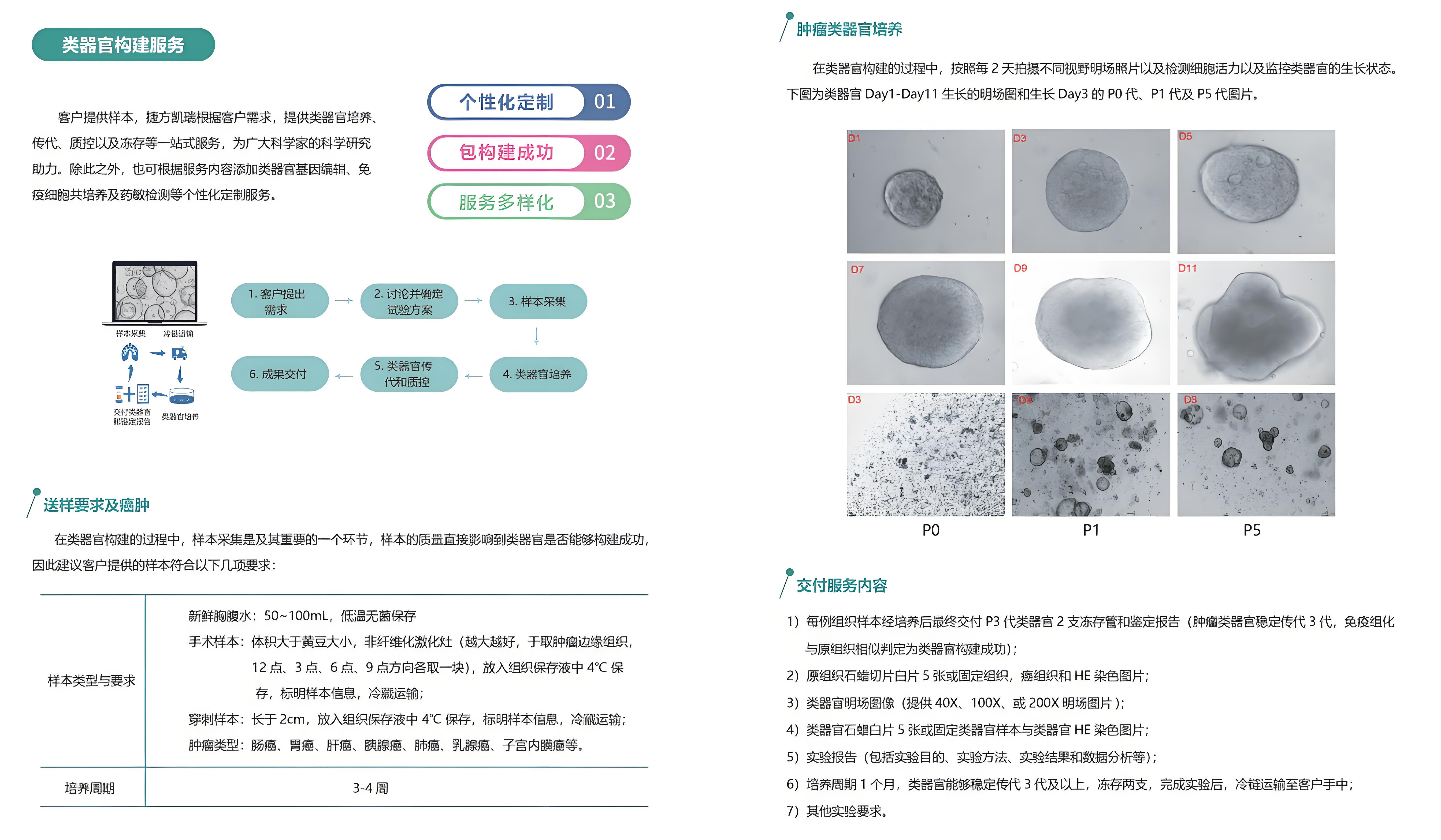 提供类器官构建技术服务(图1)