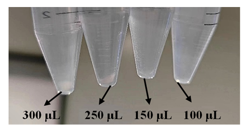 胃癌类器官培养基试剂盒( JFKR-GC-100-KIT/ JFKR-GC-500-KIT)(图2) 1742356852696.png