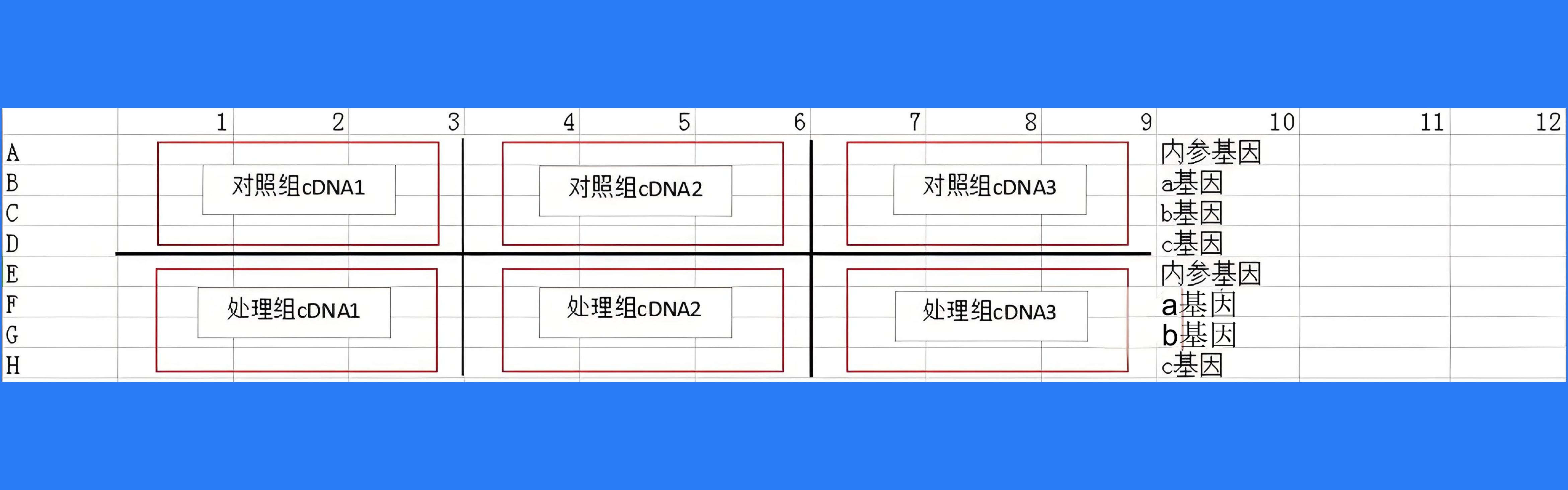 荧光定量PCR，你是如何加样的？(图2)