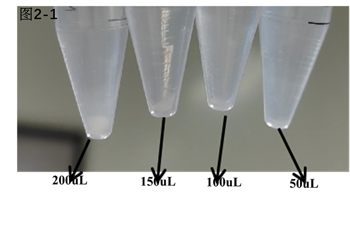 肝实质细胞癌类器官培养基试剂盒( JFKR-HCC-100-KIT/ JFKR-HCC-500-KIT)(图2) 鼠乳腺癌类器官培养基试剂盒(JFKR-MBC-100-KIT/JFKR-MBC-500-KIT)(图2)