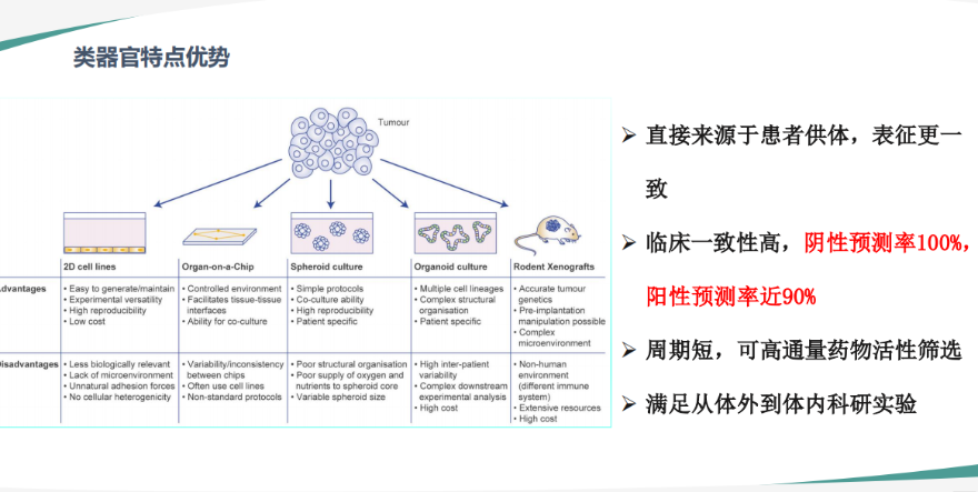 胃癌类器官培养基(JFKR-CRC-100/JFKR-CRC-500)(图1) 胃癌类器官培养基(JFKR-CRC-100/JFKR-CRC-500)(图1)