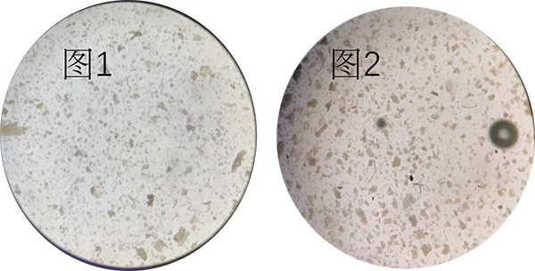胃癌类器官培养基(JFKR-CRC-100/JFKR-CRC-500)(图5)
