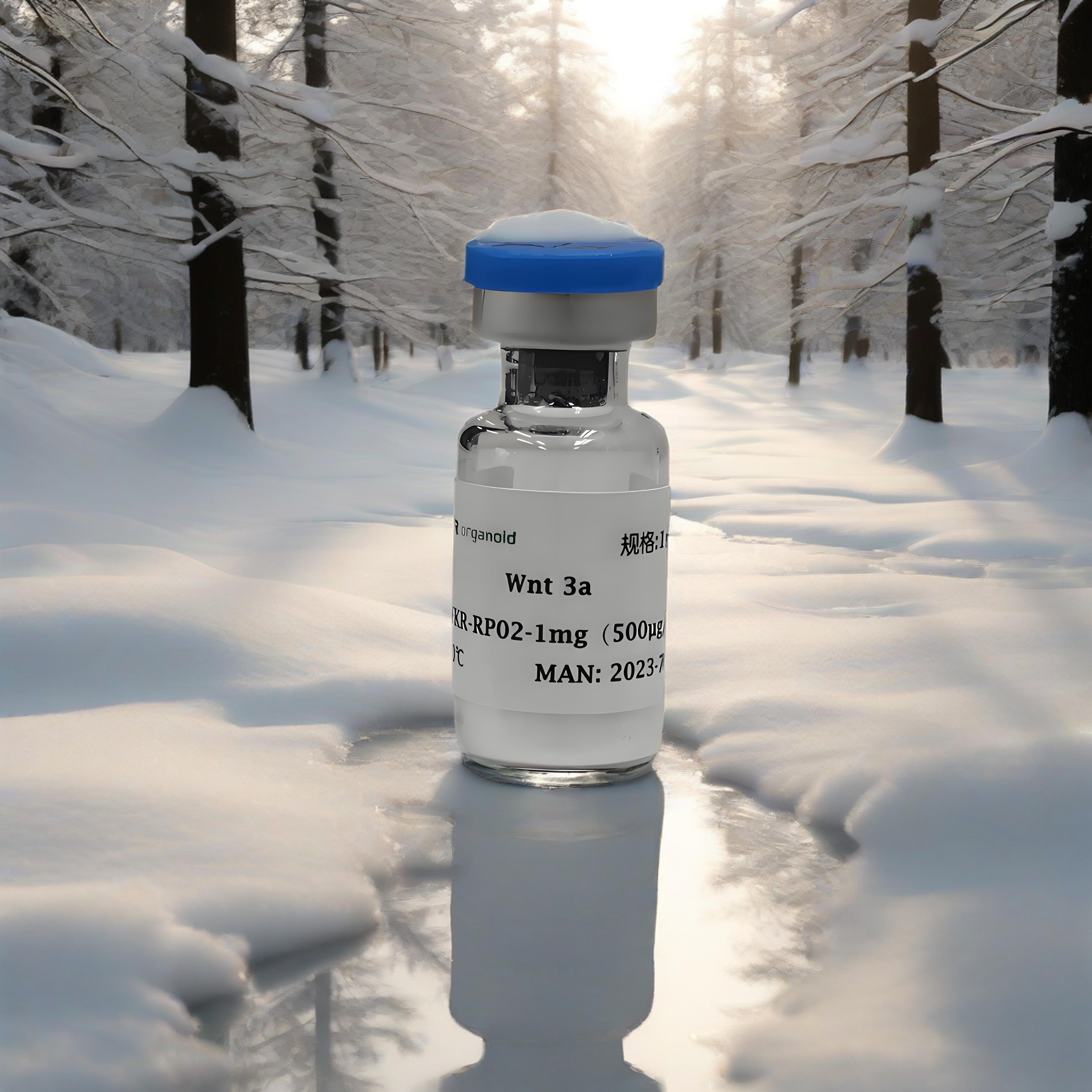 人Wnt-3a重组蛋白 （Human Wnt-3a Reco