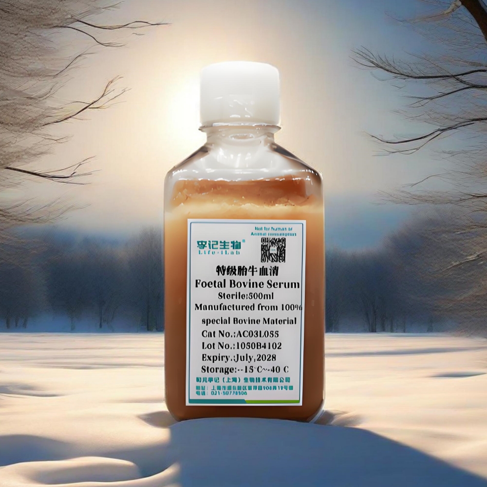 特级胎牛血清（Foetal Bovine Serum）