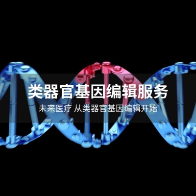 提供类器官基因编辑服务